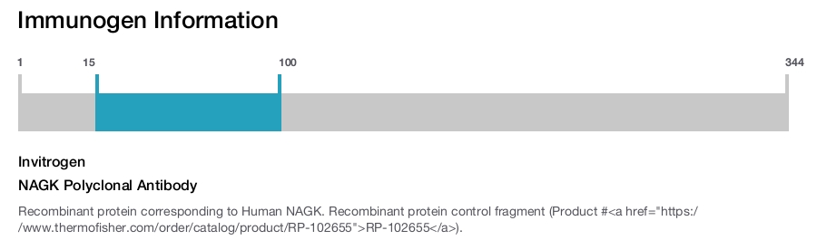 NAGK Polyclonal Antibody