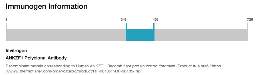 ANKZF1 Polyclonal Antibody