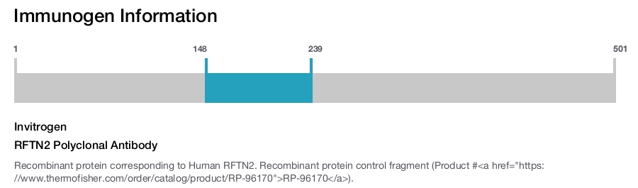 RFTN2 Polyclonal Antibody