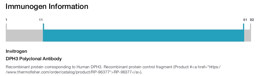 DPH3 Polyclonal Antibody
