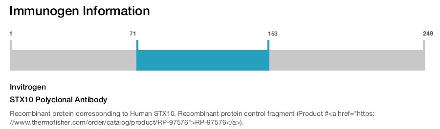 STX10 Polyclonal Antibody