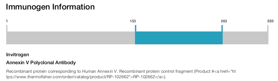 Annexin V Polyclonal Antibody