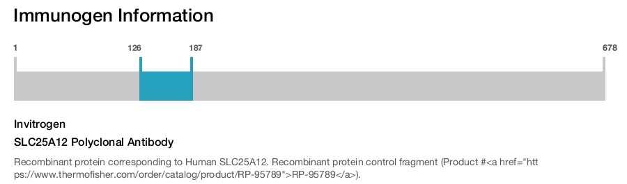 SLC25A12 Polyclonal Antibody