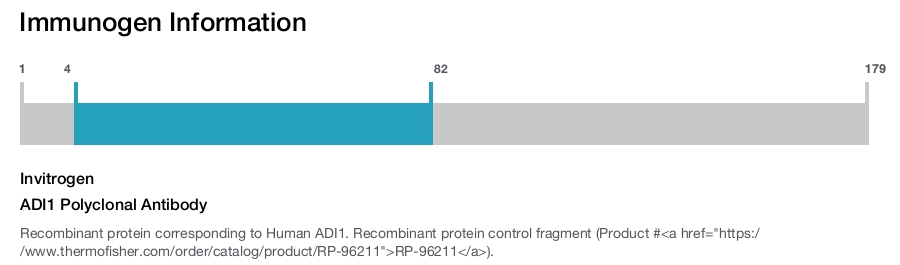 ADI1 Polyclonal Antibody