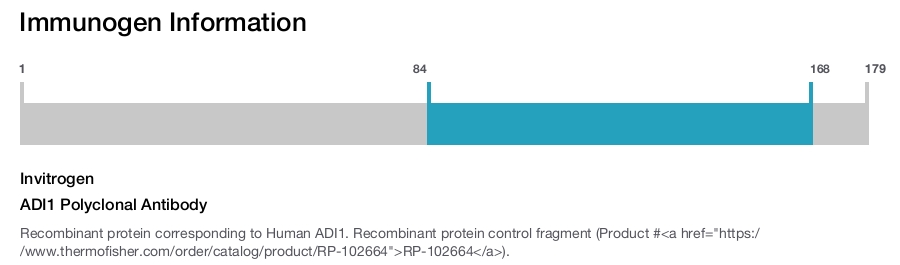ADI1 Polyclonal Antibody