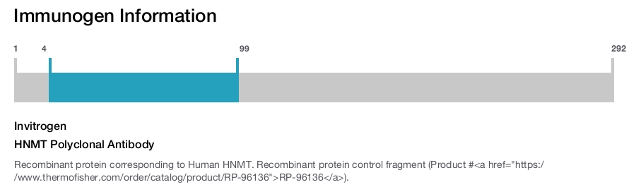 HNMT Polyclonal Antibody