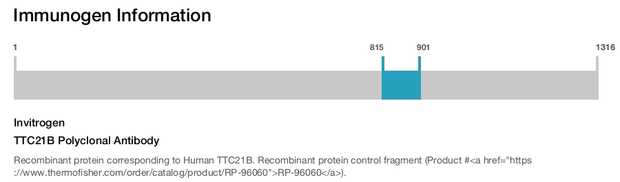 TTC21B Polyclonal Antibody