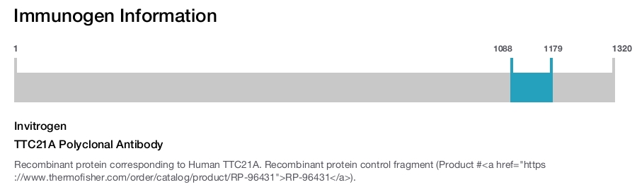 TTC21A Polyclonal Antibody