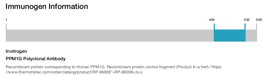 PPM1G Polyclonal Antibody