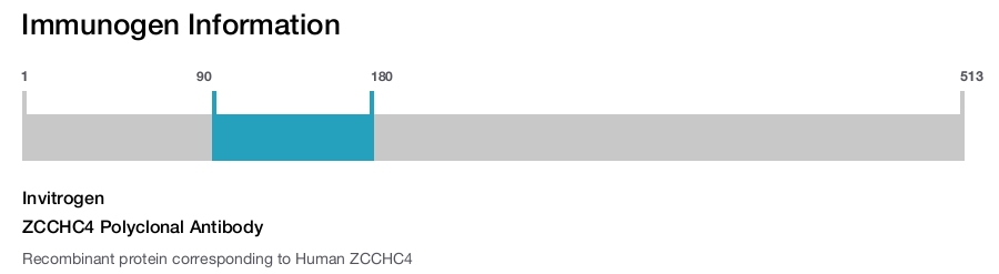 ZCCHC4 Polyclonal Antibody