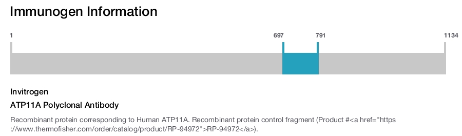 ATP11A Polyclonal Antibody