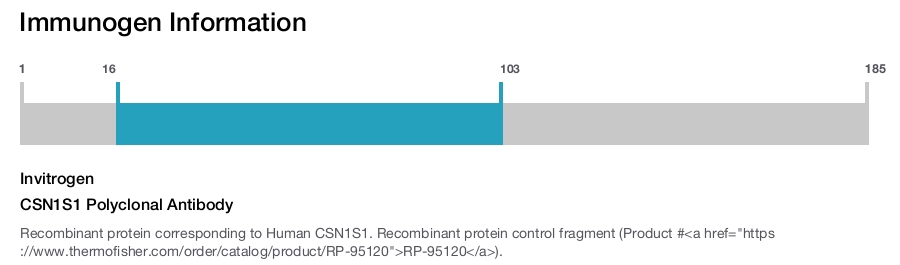 CSN1S1 Polyclonal Antibody
