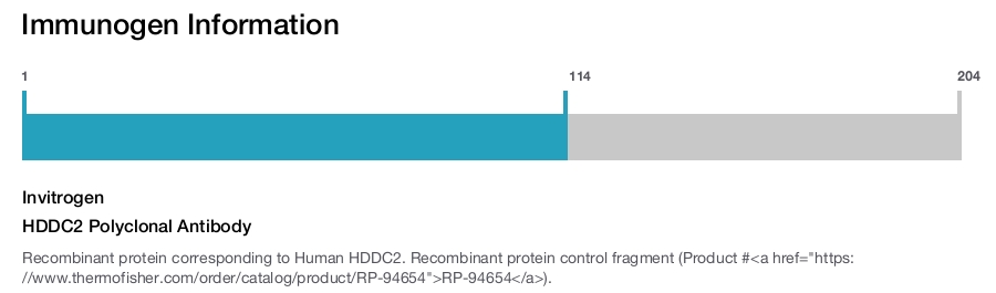 HDDC2 Polyclonal Antibody