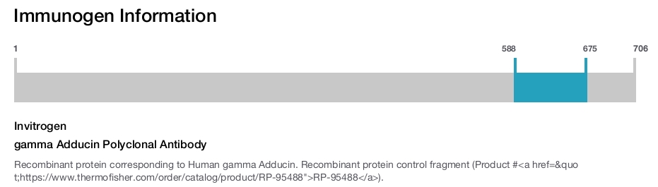 gamma Adducin Polyclonal Antibody
