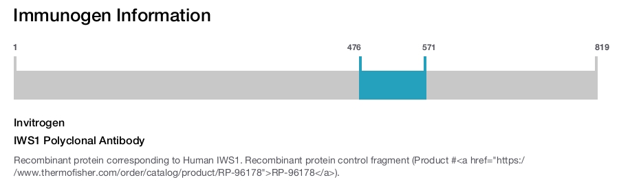 IWS1 Polyclonal Antibody