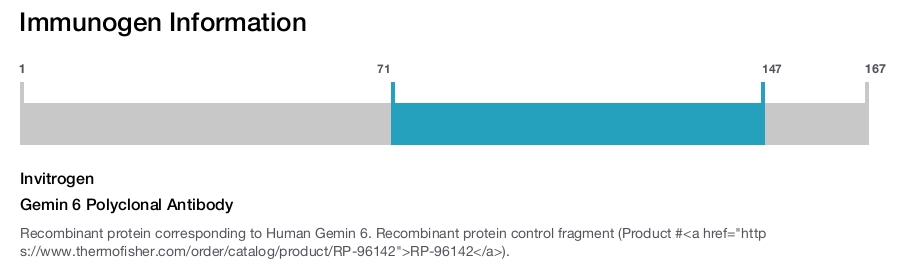 Gemin 6 Polyclonal Antibody