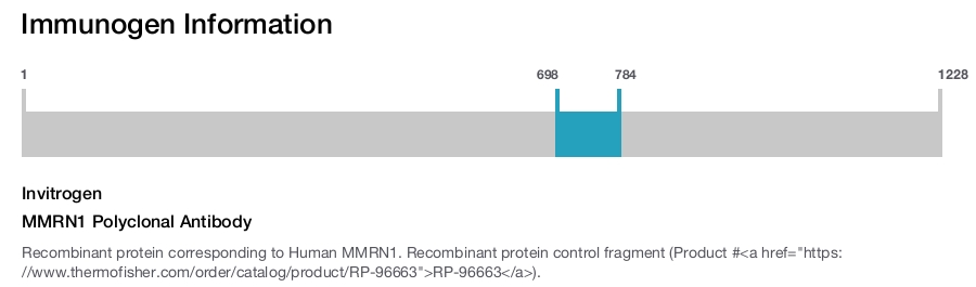 MMRN1 Polyclonal Antibody