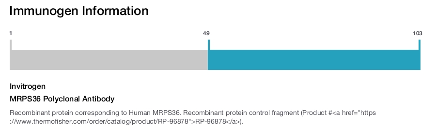 MRPS36 Polyclonal Antibody