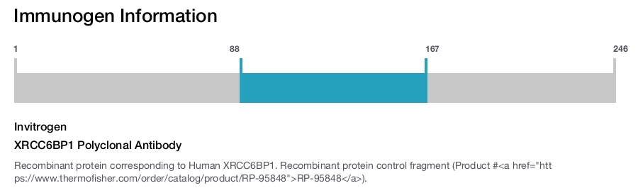 XRCC6BP1 Polyclonal Antibody