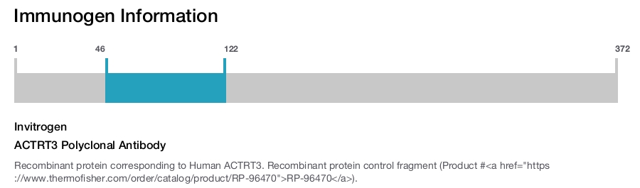 ACTRT3 Polyclonal Antibody