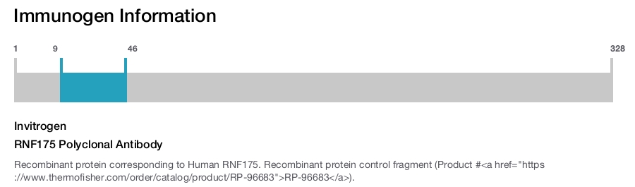 RNF175 Polyclonal Antibody