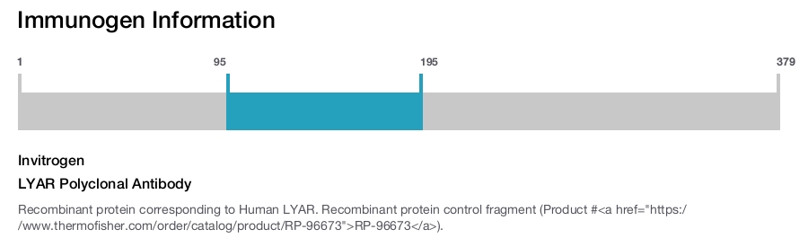 LYAR Polyclonal Antibody
