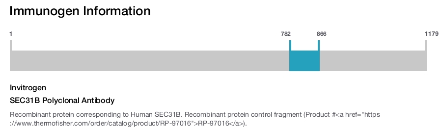 SEC31B Polyclonal Antibody