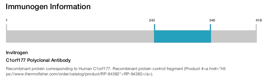 C1orf177 Polyclonal Antibody