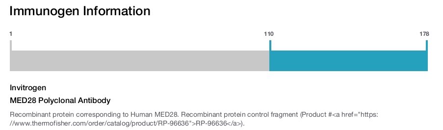 MED28 Polyclonal Antibody