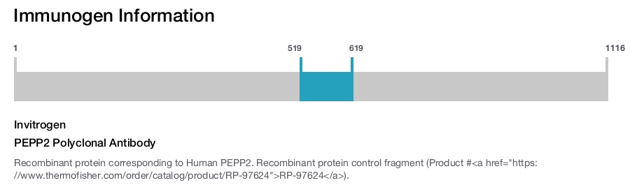PEPP2 Polyclonal Antibody
