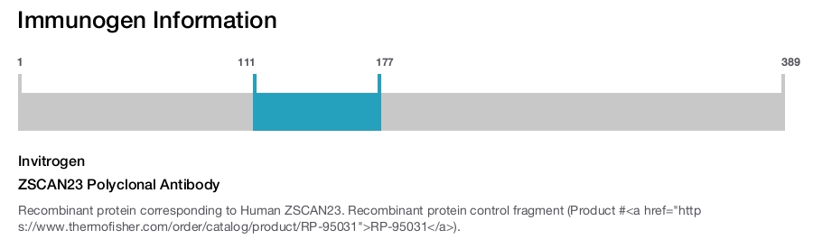 ZSCAN23 Polyclonal Antibody