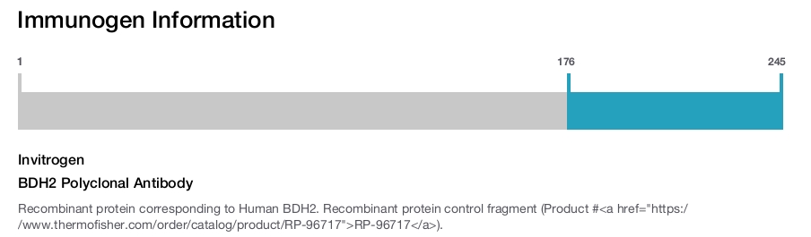 BDH2 Polyclonal Antibody