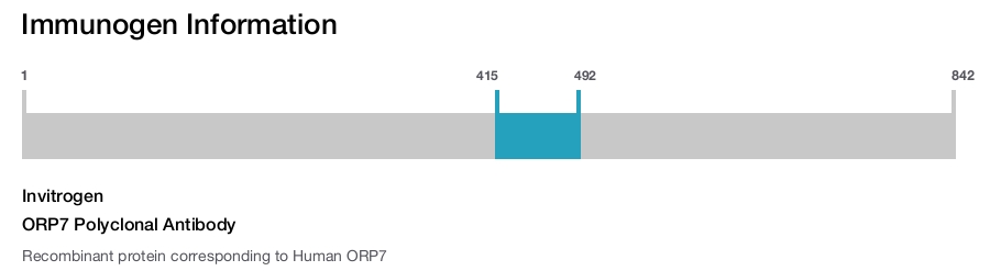 ORP7 Polyclonal Antibody