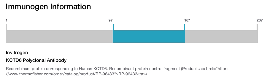 KCTD6 Polyclonal Antibody