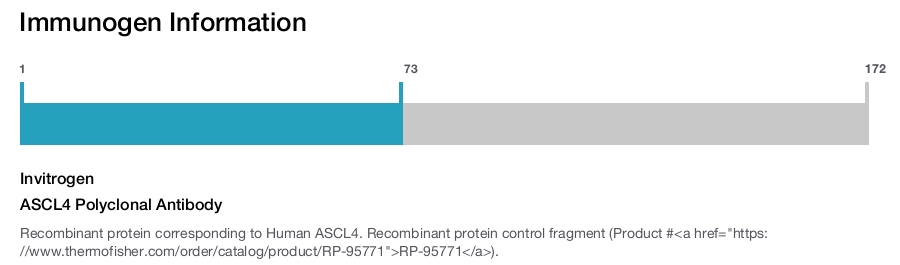 ASCL4 Polyclonal Antibody