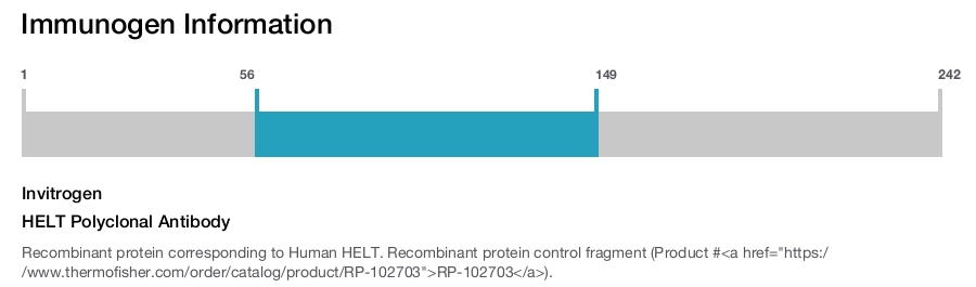 HELT Polyclonal Antibody