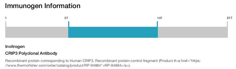 CRIP3 Polyclonal Antibody