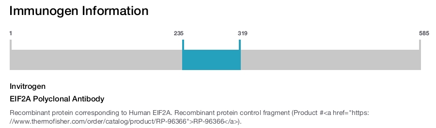 EIF2A Polyclonal Antibody