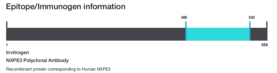 NXPE3 Polyclonal Antibody