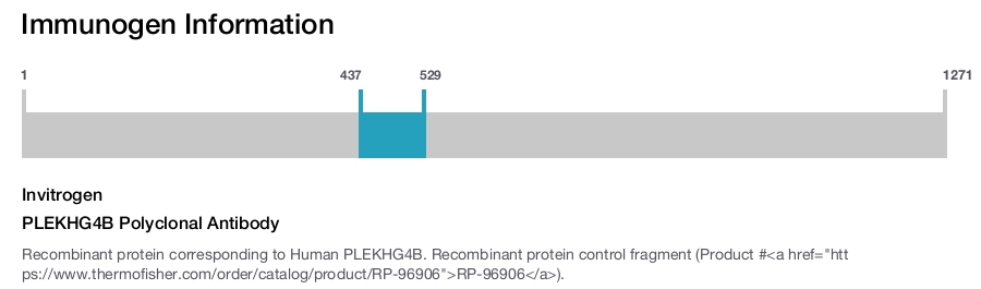 PLEKHG4B Polyclonal Antibody