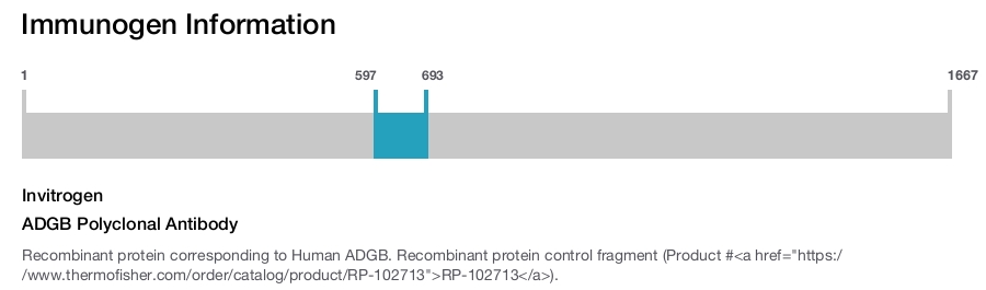 ADGB Polyclonal Antibody