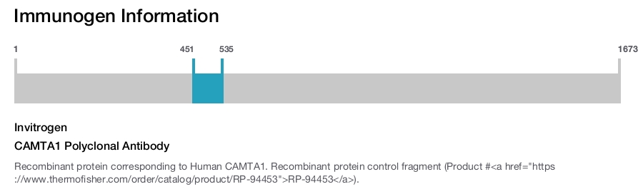 CAMTA1 Polyclonal Antibody