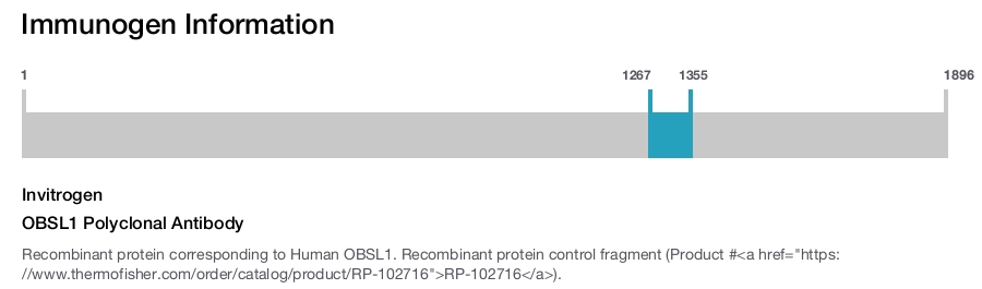 OBSL1 Polyclonal Antibody