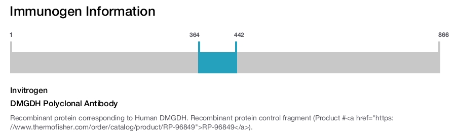 DMGDH Polyclonal Antibody
