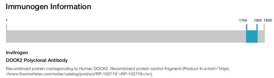 DOCK2 Polyclonal Antibody