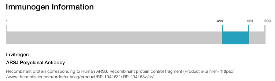 ARSJ Polyclonal Antibody