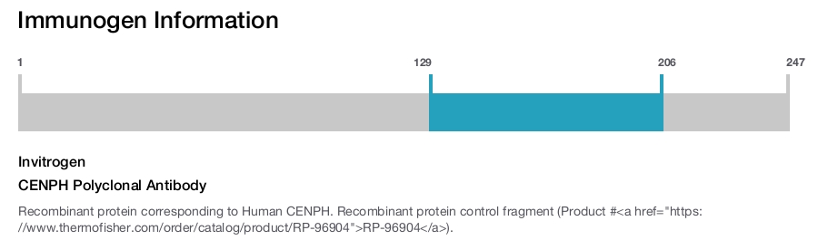 CENPH Polyclonal Antibody