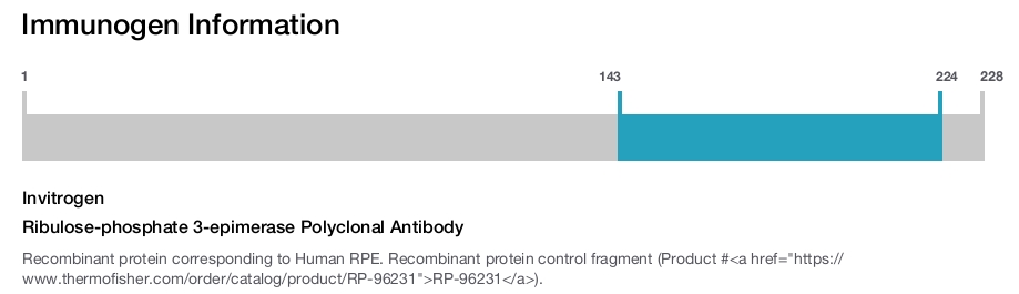 Ribulose-phosphate 3-epimerase Polyclonal Antibody