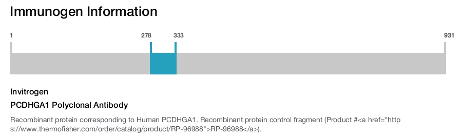 PCDHGA1 Polyclonal Antibody