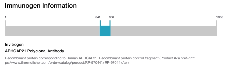 ARHGAP21 Polyclonal Antibody